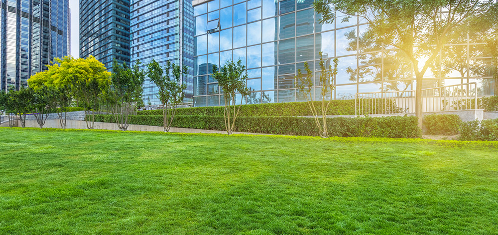 Commercial Lawn Maintenance