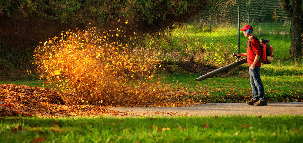 Landscaping